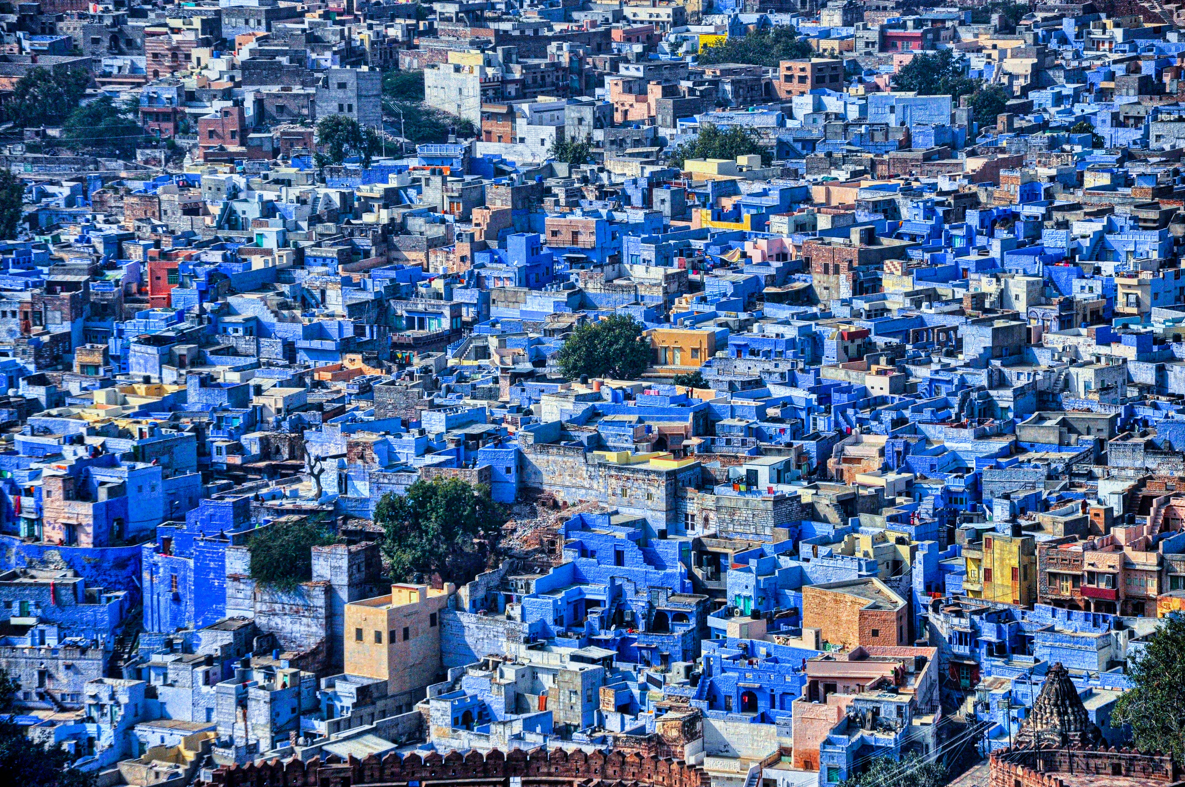 Blue City Jodhpur